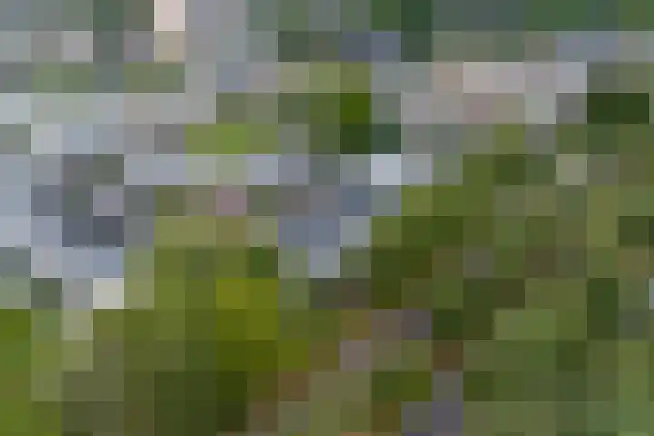 Noetselebrink 44 Enschede thumbnail 36