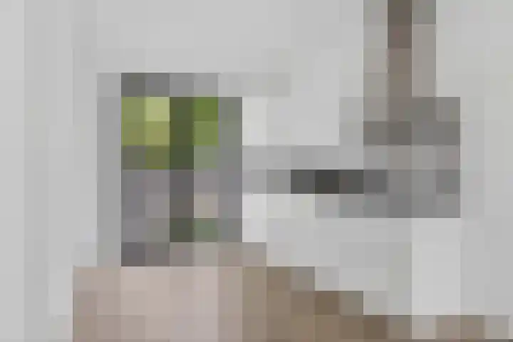 Noetselebrink 44 Enschede thumbnail 9