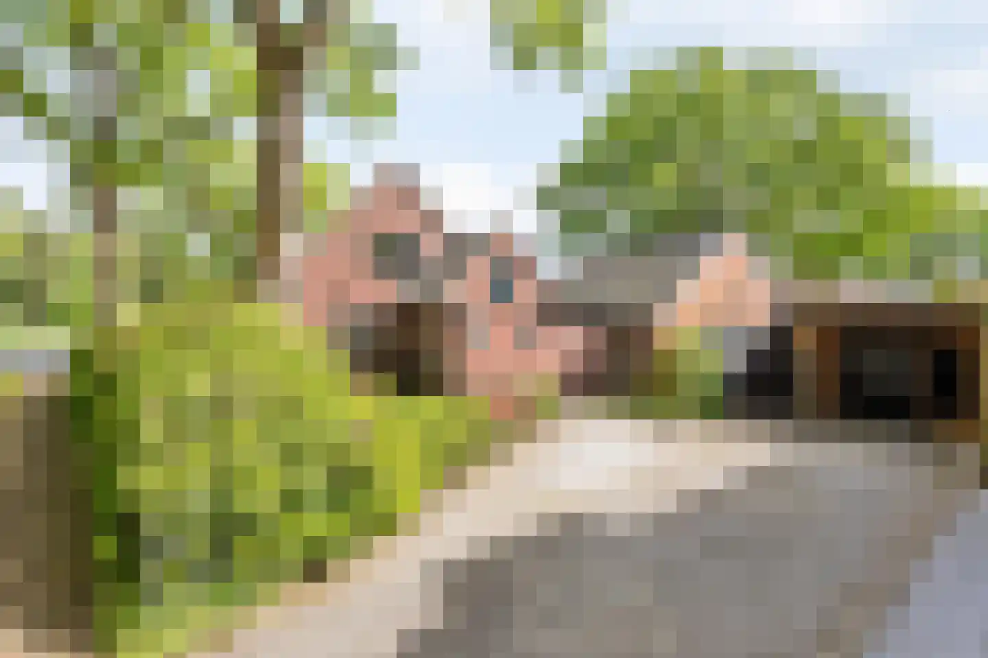 Noetselerbergweg 37 Nijverdal thumbnail 16