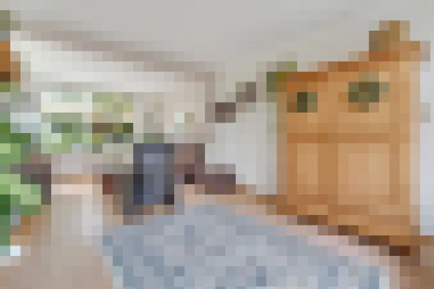 Noetselerbergweg 5 Nijverdal thumbnail 5