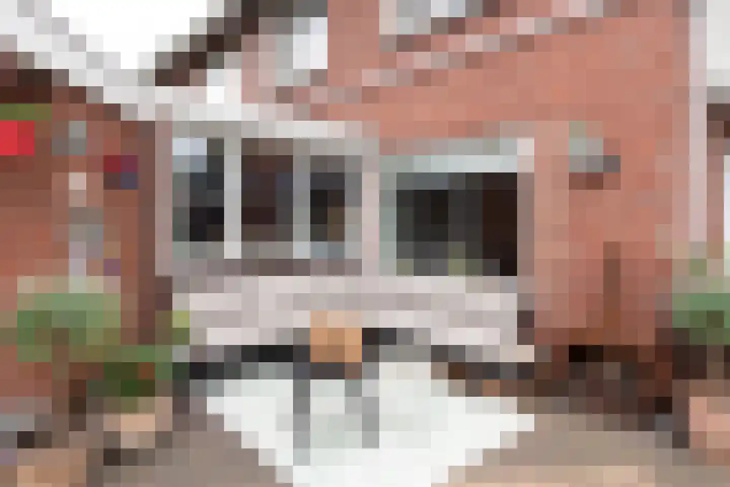 Noetselerweg 18 Nijverdal thumbnail 36