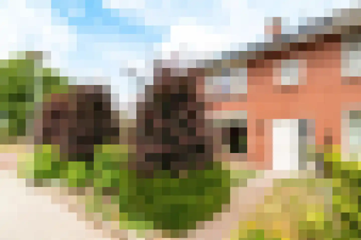 Noetselerweg 18 Nijverdal thumbnail 4