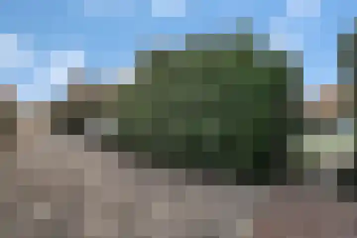 Noetselerweg 27 Nijverdal thumbnail 30
