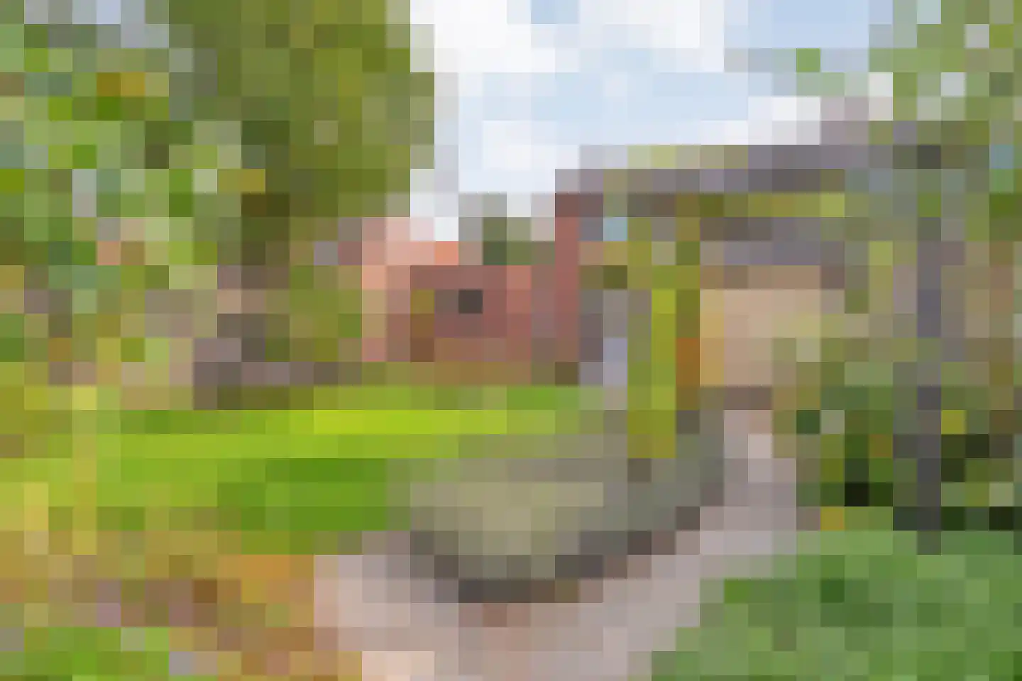 Noetselerweg 44 Nijverdal thumbnail 33