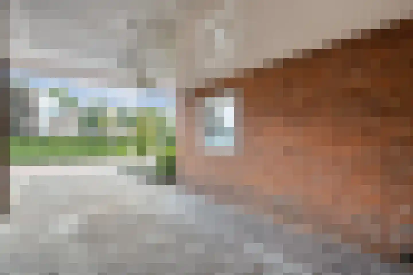 Noetselerweg 44 Nijverdal thumbnail 43