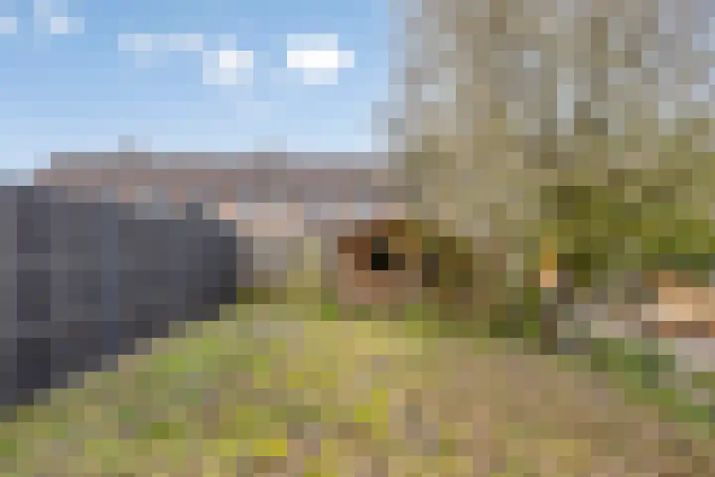Nok 36 Hoorn thumbnail 27