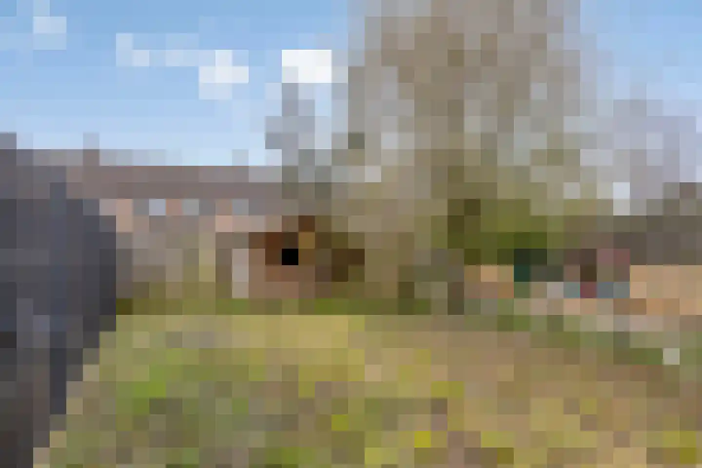Nok 36 Hoorn thumbnail 28