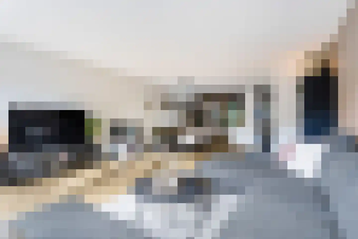 Nokpan 8 Ermelo thumbnail 11