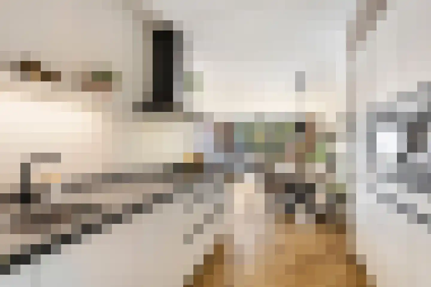 Nokpan 8 Ermelo thumbnail 18