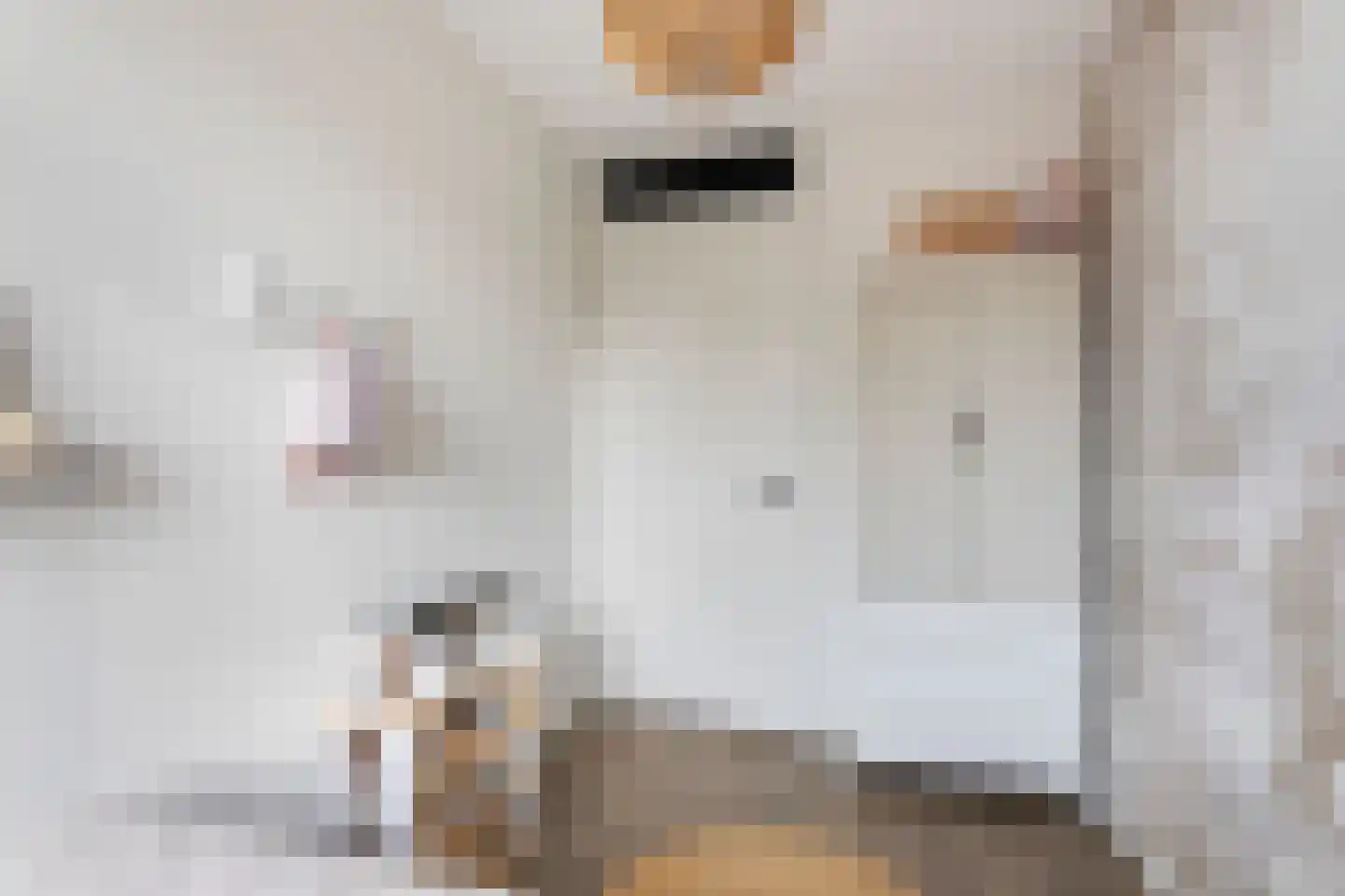 Nokpan 8 Ermelo thumbnail 24