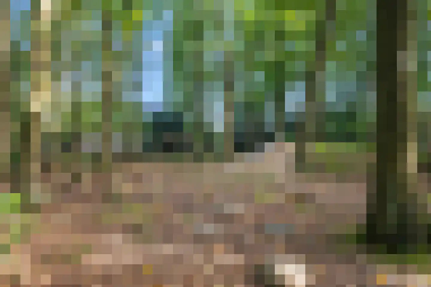Nokpan 8 Ermelo thumbnail 37