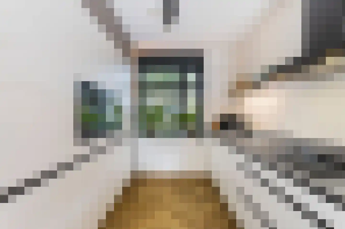 Nokpan 8 Ermelo thumbnail 4