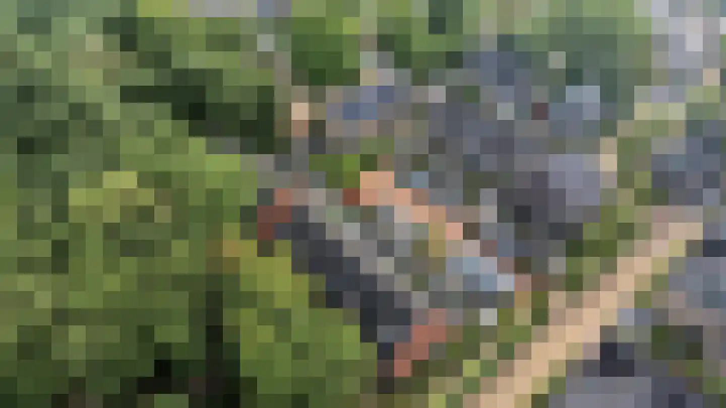 Nokpan 8 Ermelo thumbnail 40