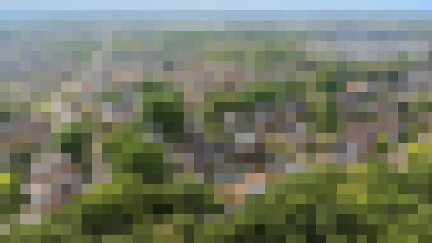 Nokpan 8 Ermelo thumbnail 41