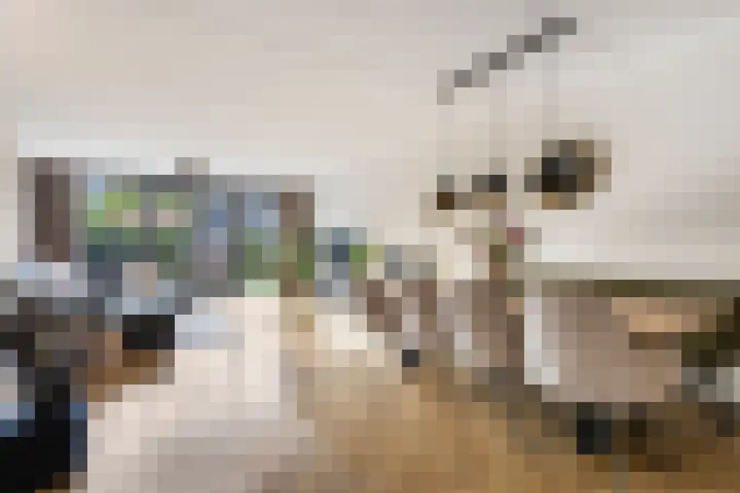 Nokpan 8 Ermelo thumbnail 8