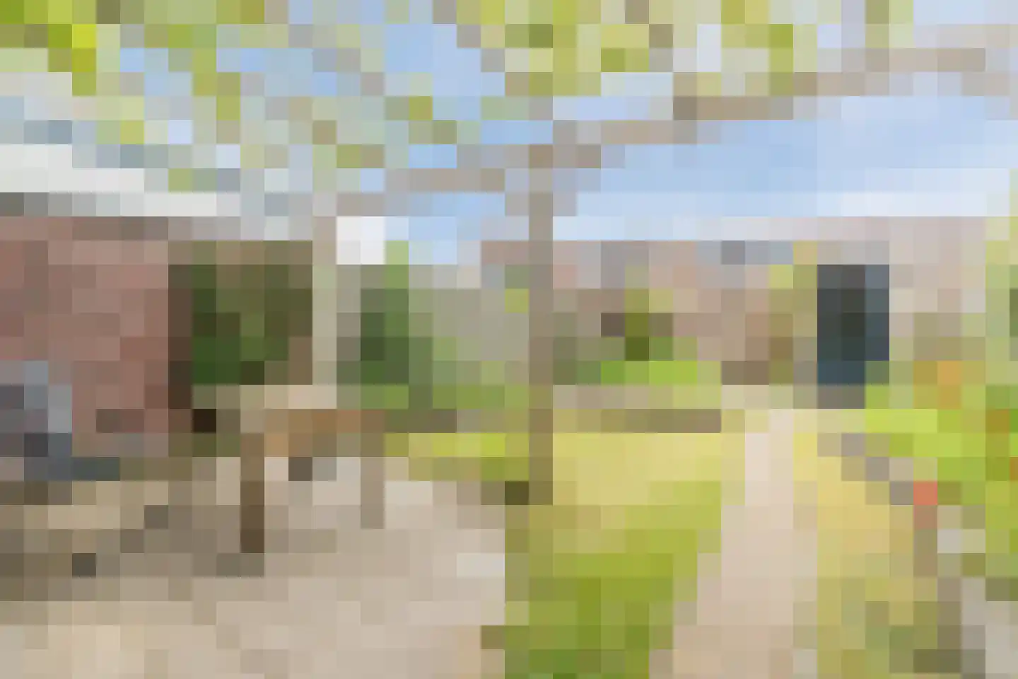 Nol Rendershof 8 Nuenen thumbnail 15