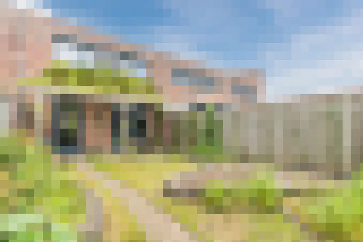 Nol Rendershof 8 Nuenen thumbnail 17