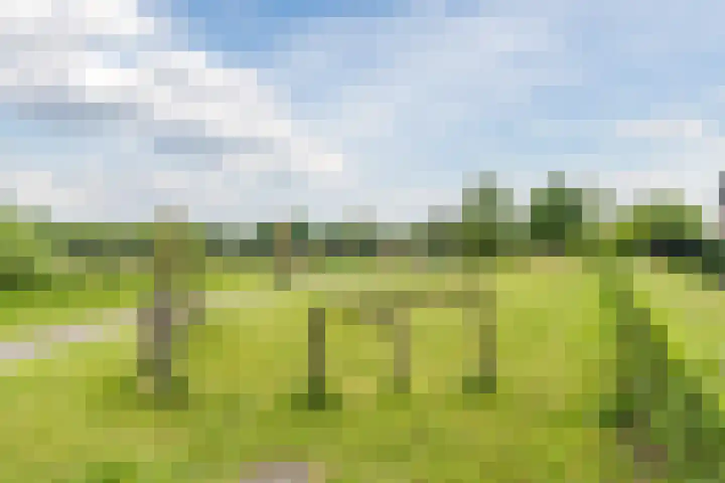 Nol Rendershof 8 Nuenen thumbnail 4