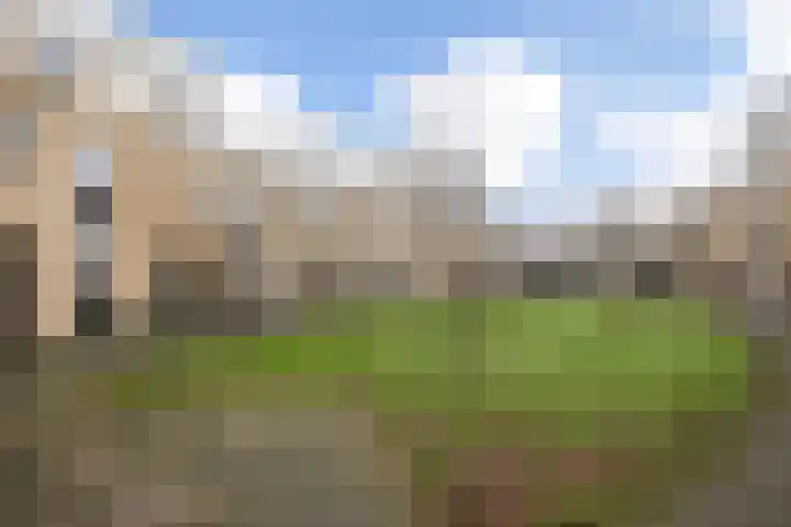 Nolderveld 9 Nieuw-Vennep thumbnail 7