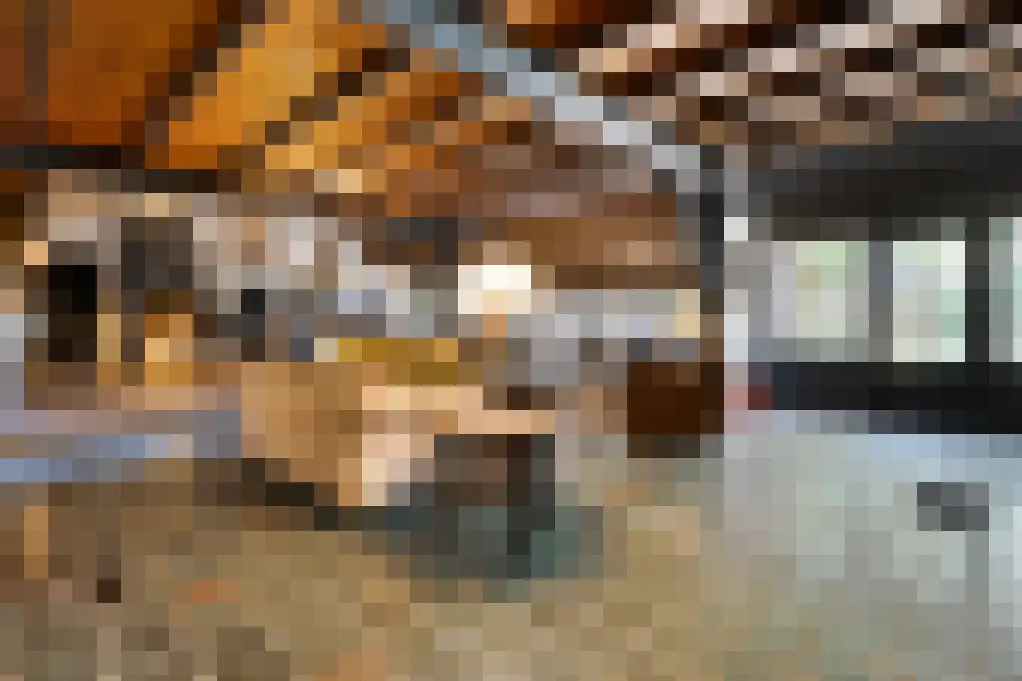 Nolderweg 11 Linde thumbnail 12