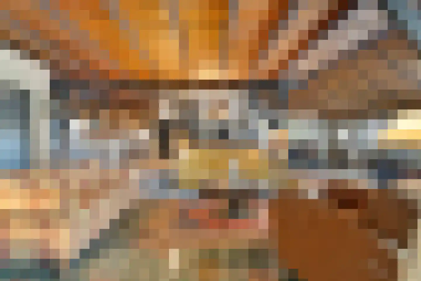 Nolderweg 11 Linde thumbnail 17