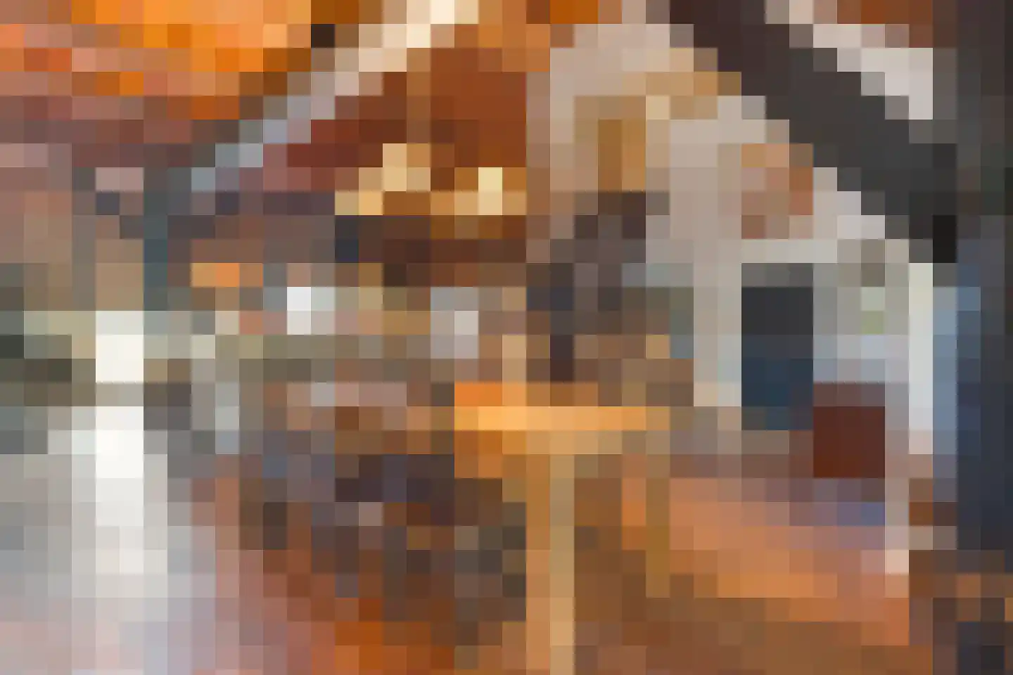 Nolderweg 11 Linde thumbnail 18