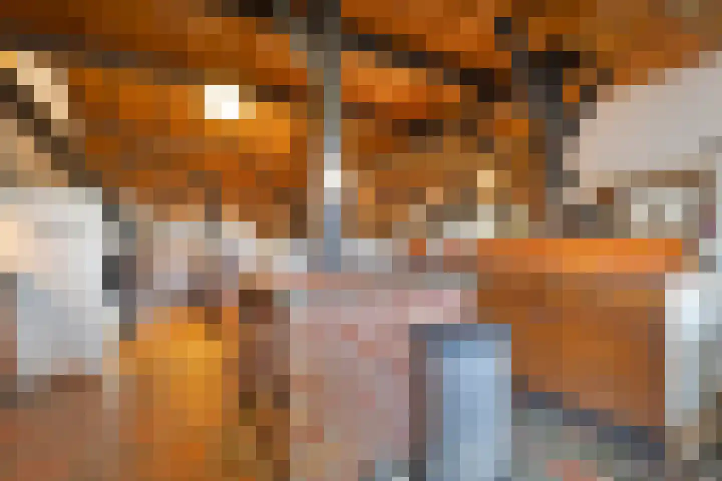 Nolderweg 11 Linde thumbnail 22