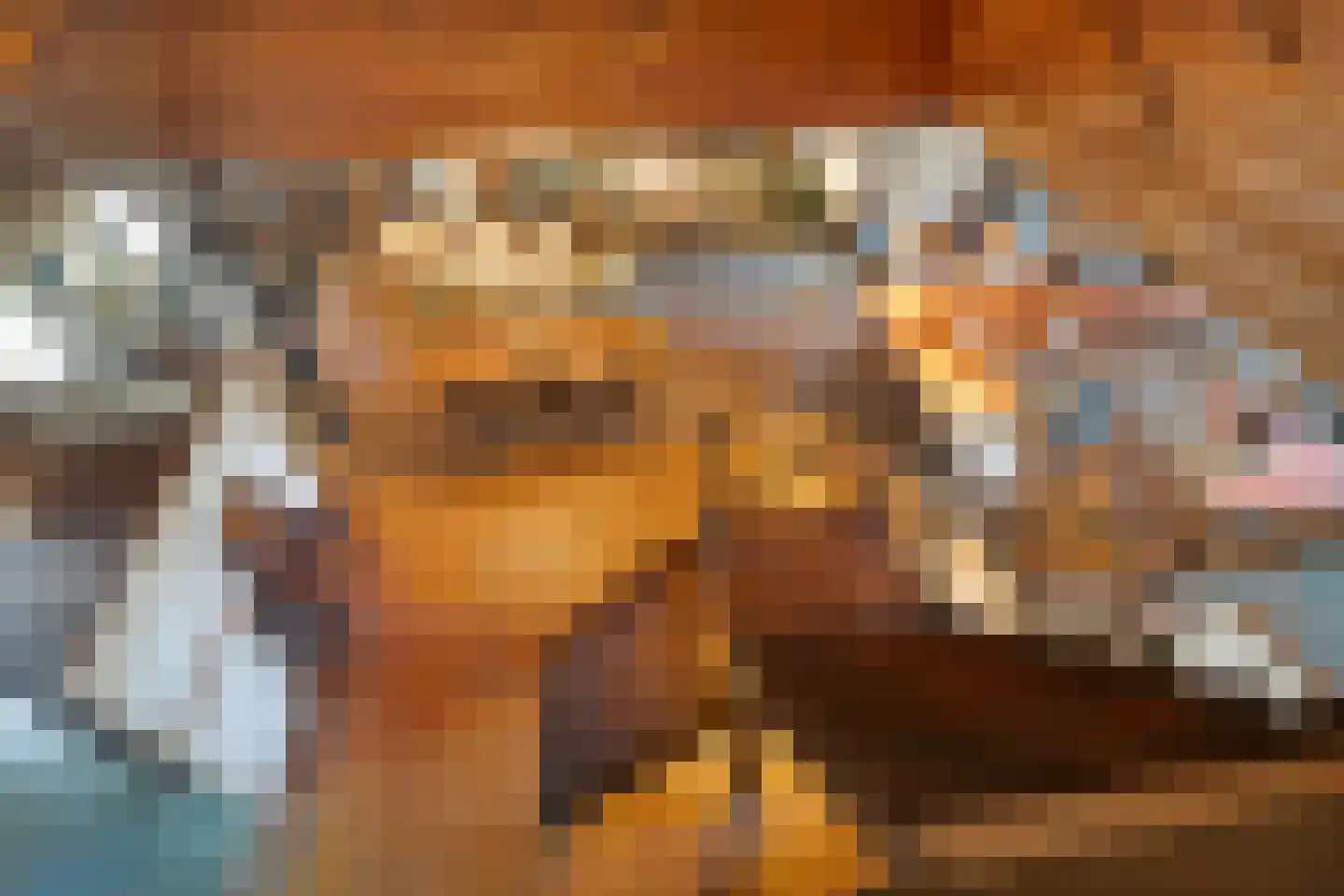 Nolderweg 11 Linde thumbnail 45
