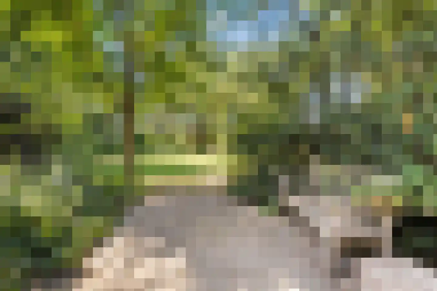 Nolderweg 11 Linde thumbnail 5