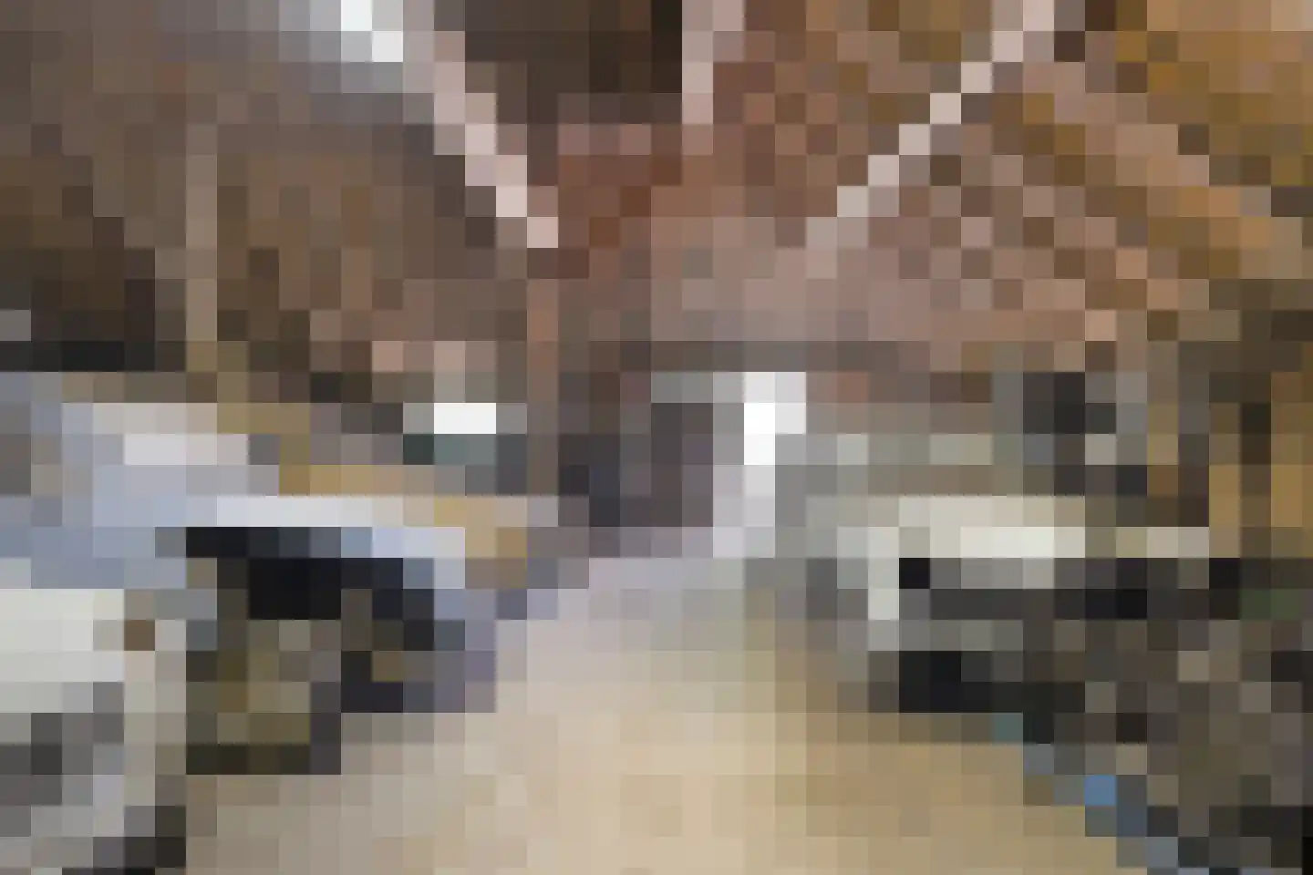 Nolderweg 11 Linde thumbnail 57