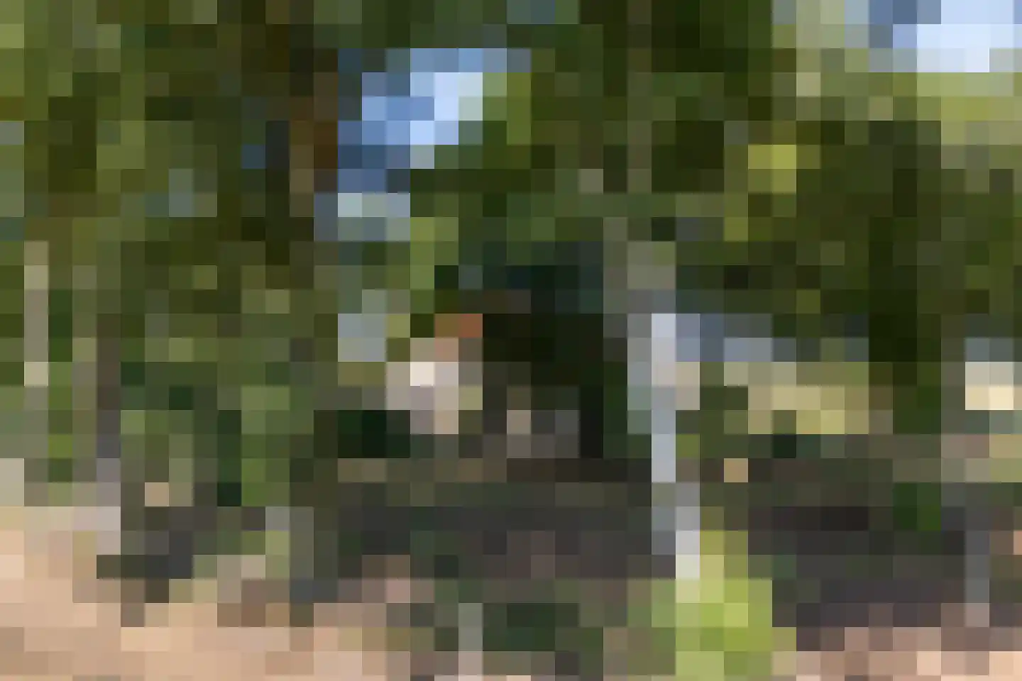 Nolderweg 11 Linde thumbnail 61