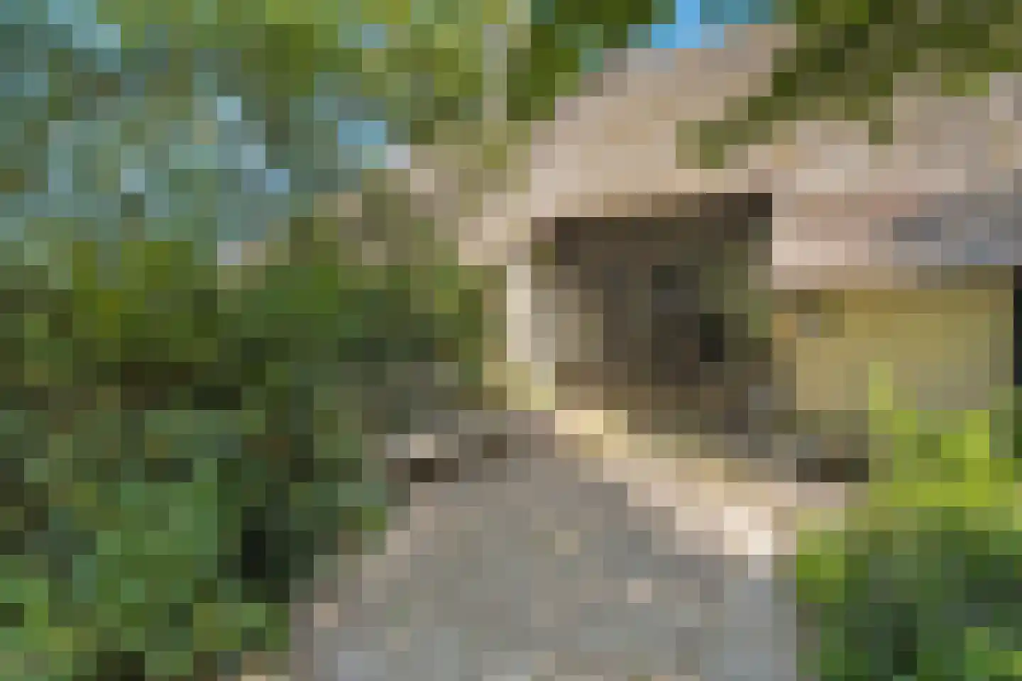 Nolderweg 11 Linde thumbnail 64