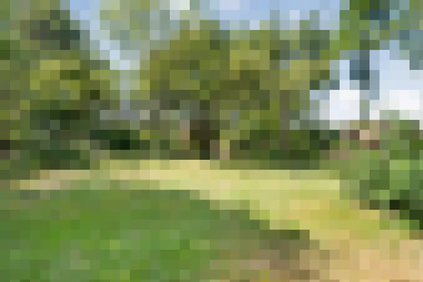 Nolderweg 11 Linde thumbnail 66