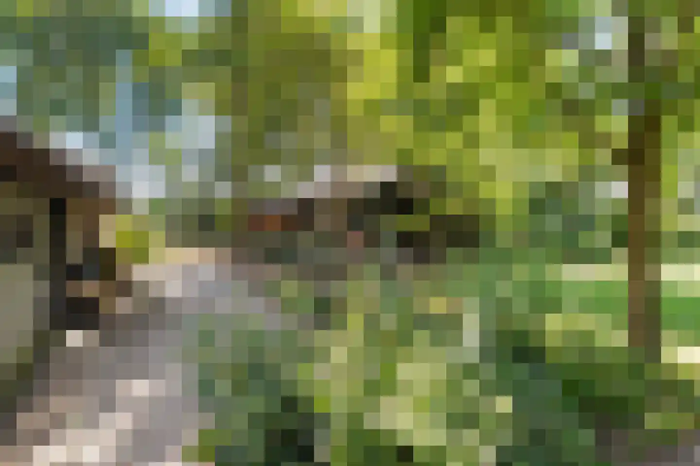 Nolderweg 11 Linde thumbnail 67