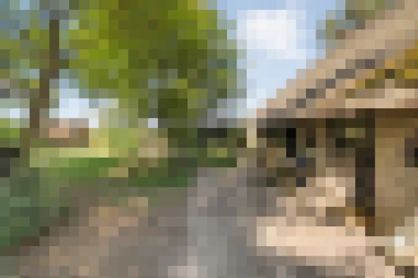 Nolderweg 11 Linde thumbnail 68