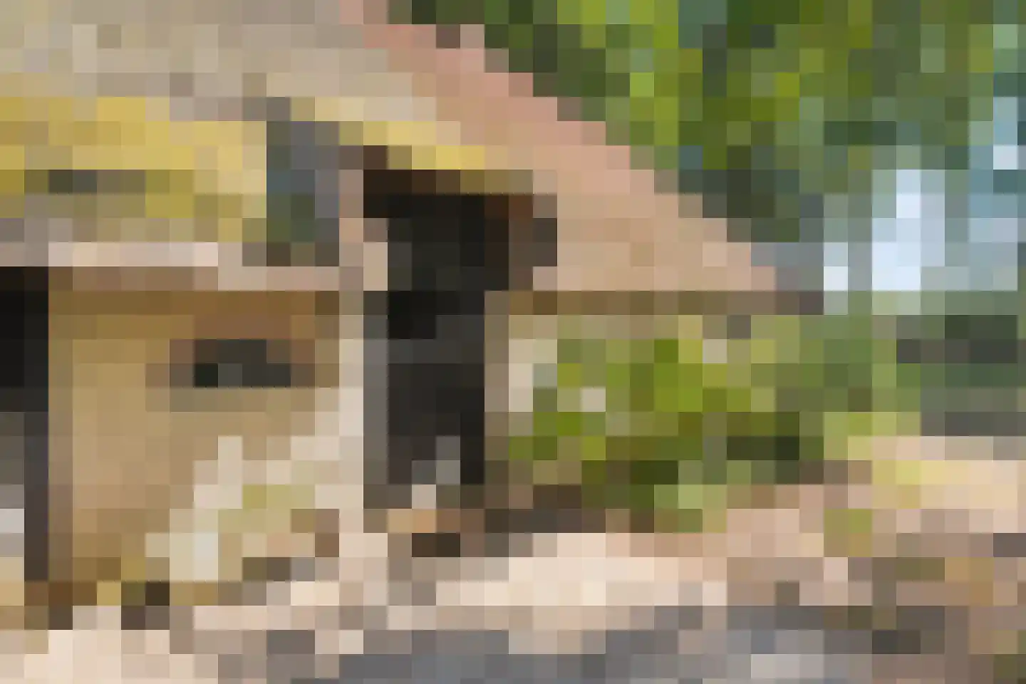 Nolderweg 11 Linde thumbnail 69