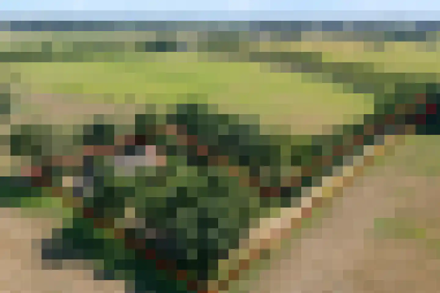 Nolderweg 11 Linde thumbnail 75