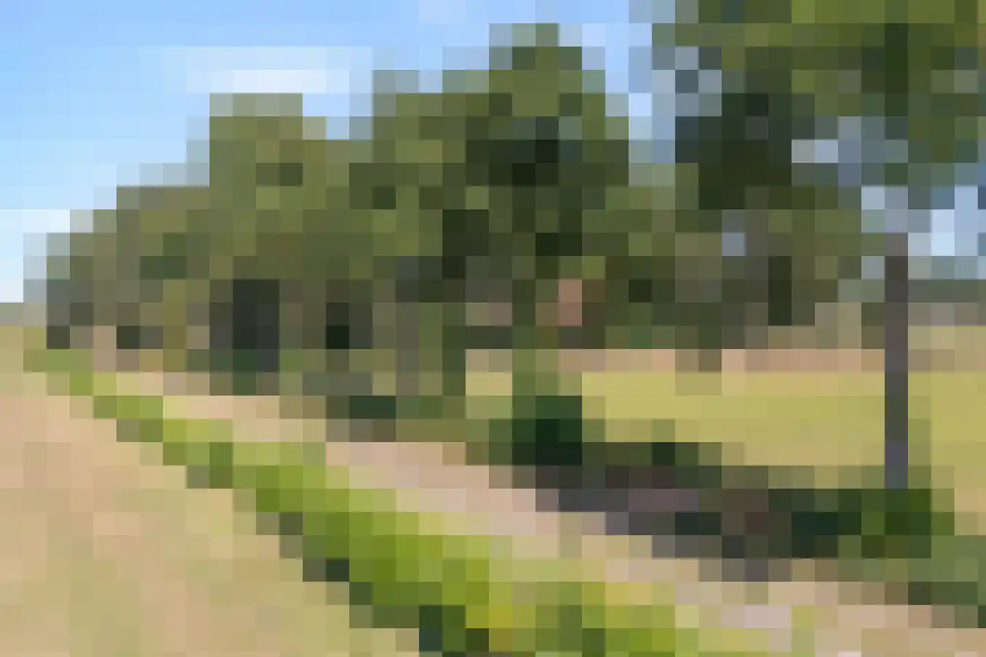 Nolderweg 11 Linde thumbnail 76