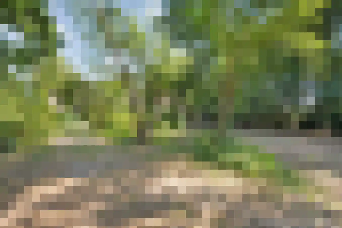Nolderweg 11 Linde thumbnail 77