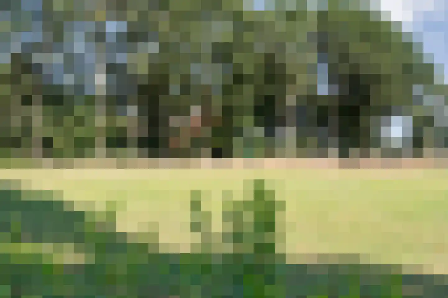 Nolderweg 11 Linde thumbnail 78