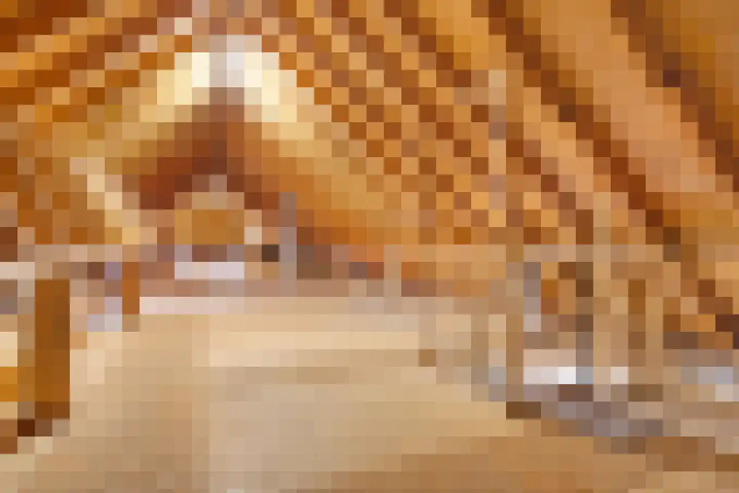 Nolderweg 4 Linde thumbnail 48