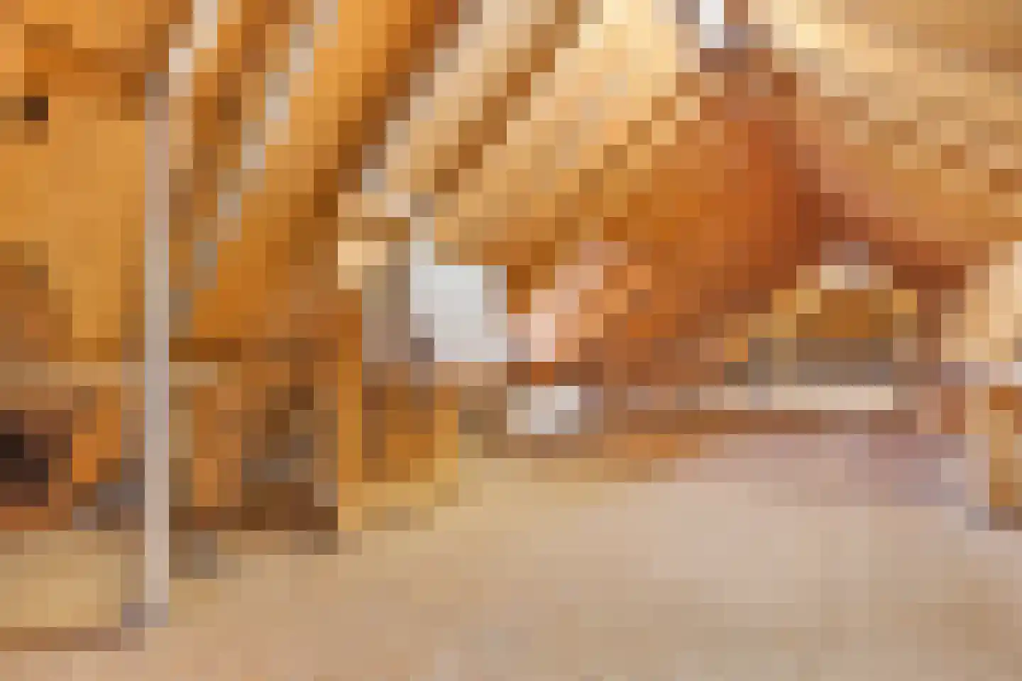 Nolderweg 4 Linde thumbnail 50