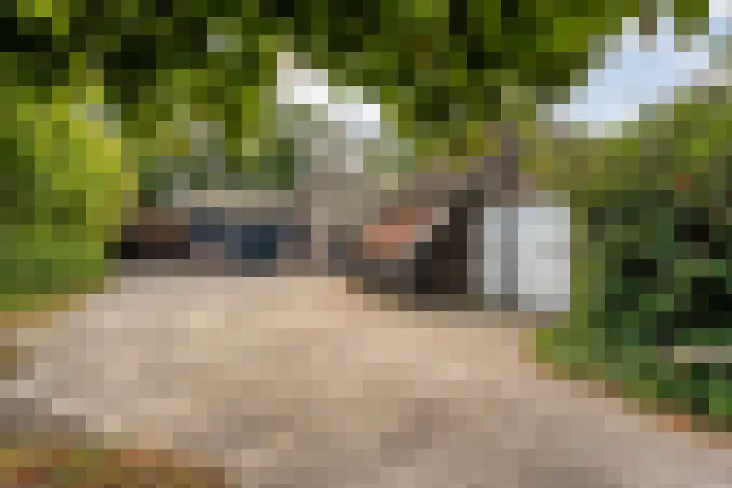 Nolderweg 4 Linde thumbnail 67