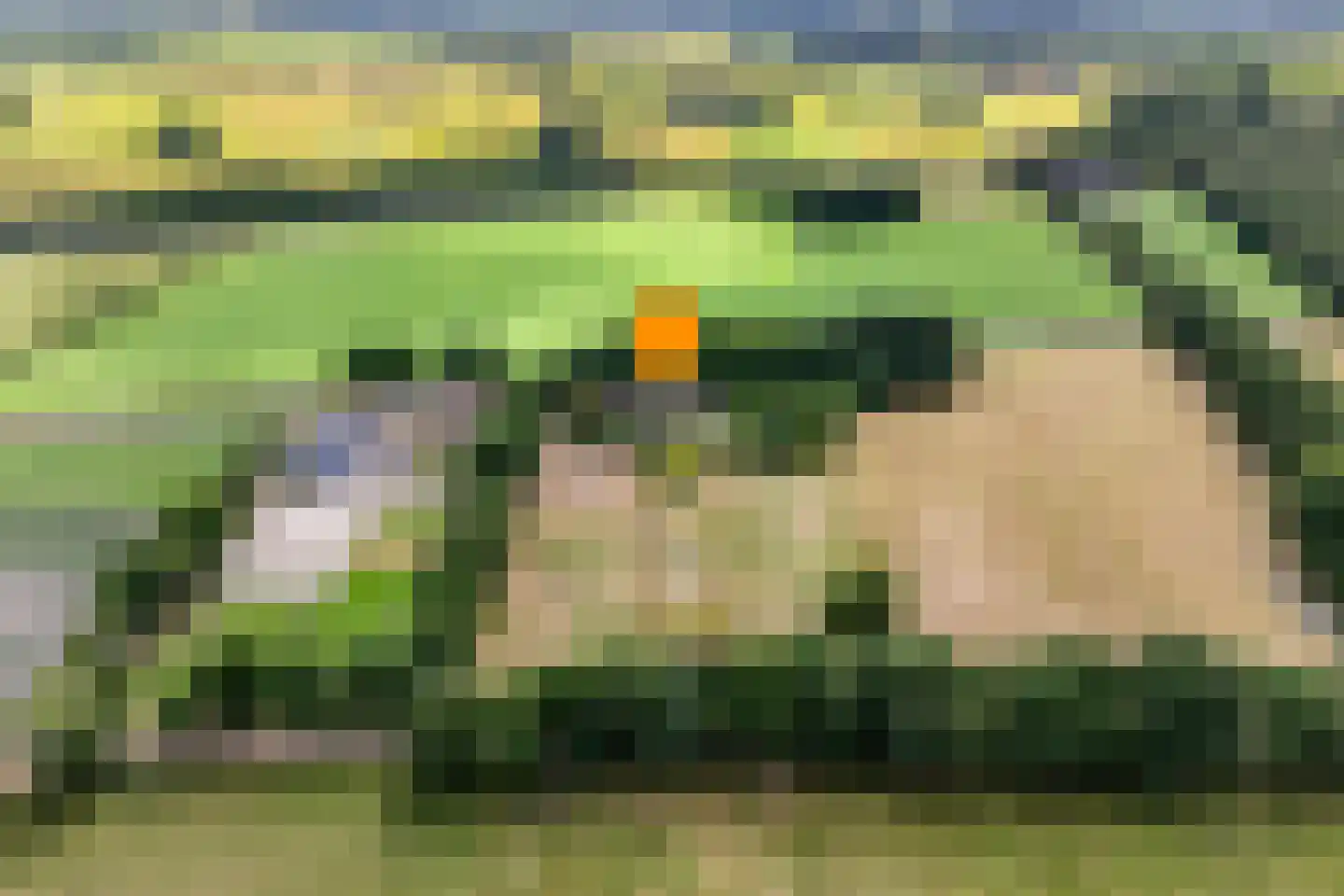 Nolderweg 4 Linde thumbnail 7