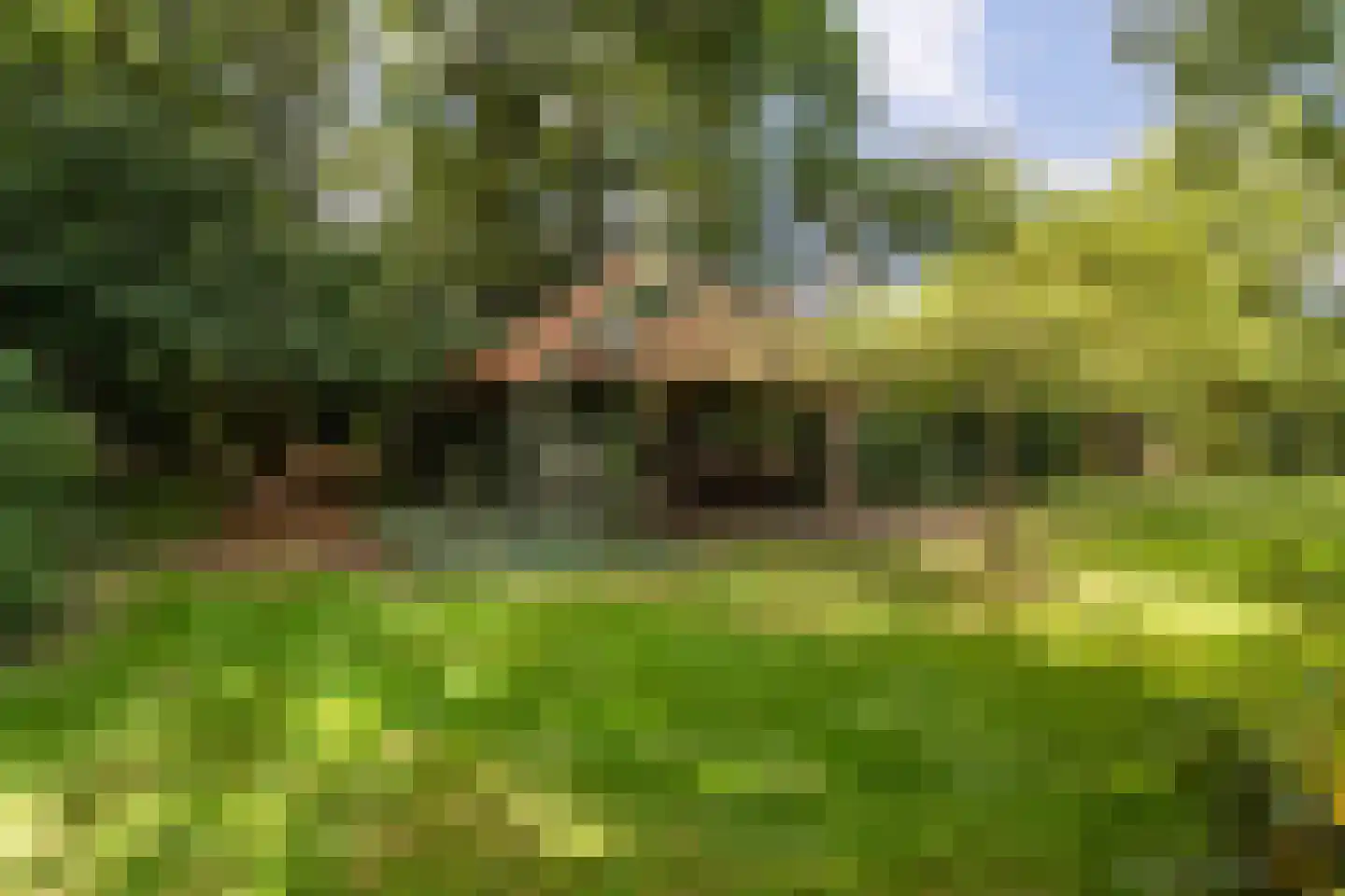 Nolderweg 4 Linde thumbnail 73