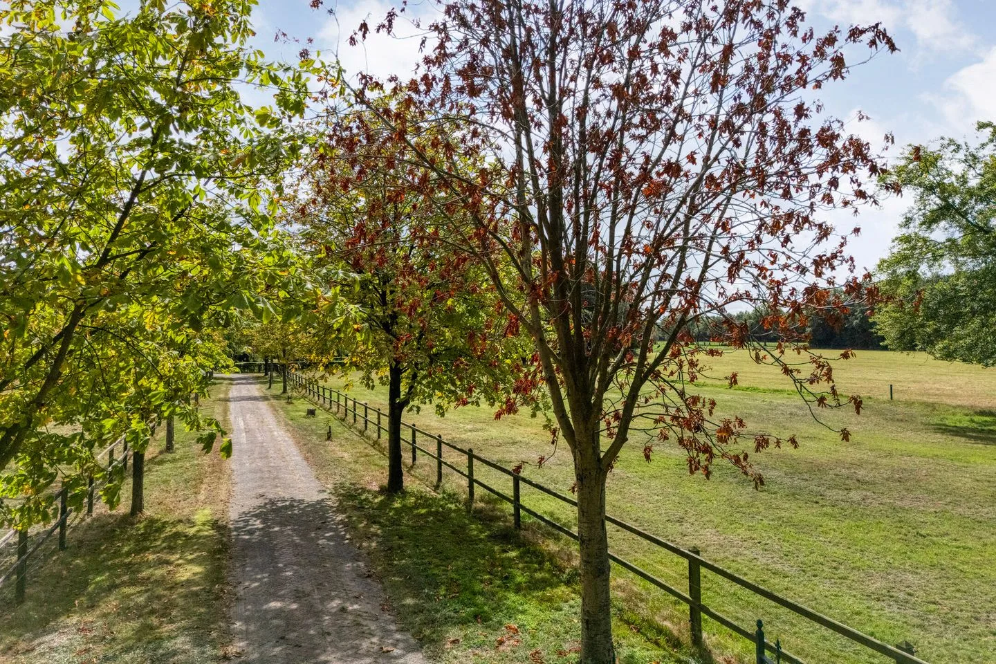 Nolderweg 4 Linde thumbnail 75