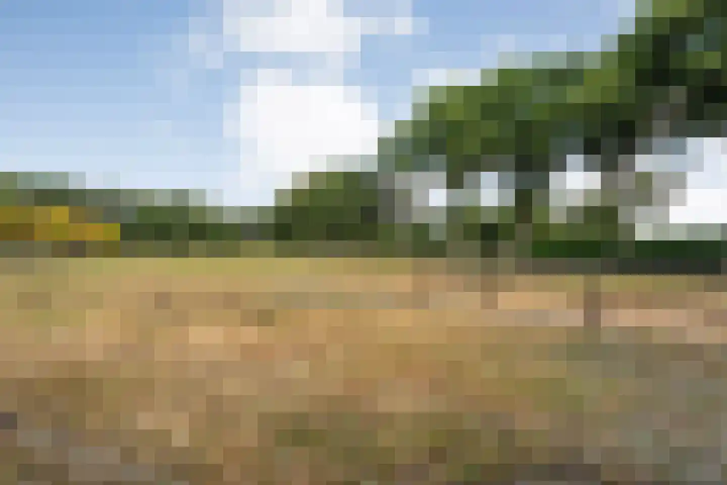 Nolderweg 4 Linde thumbnail 77