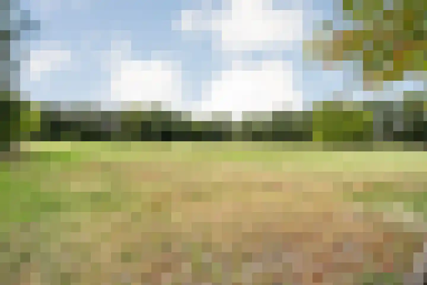 Nolderweg 4 Linde thumbnail 78