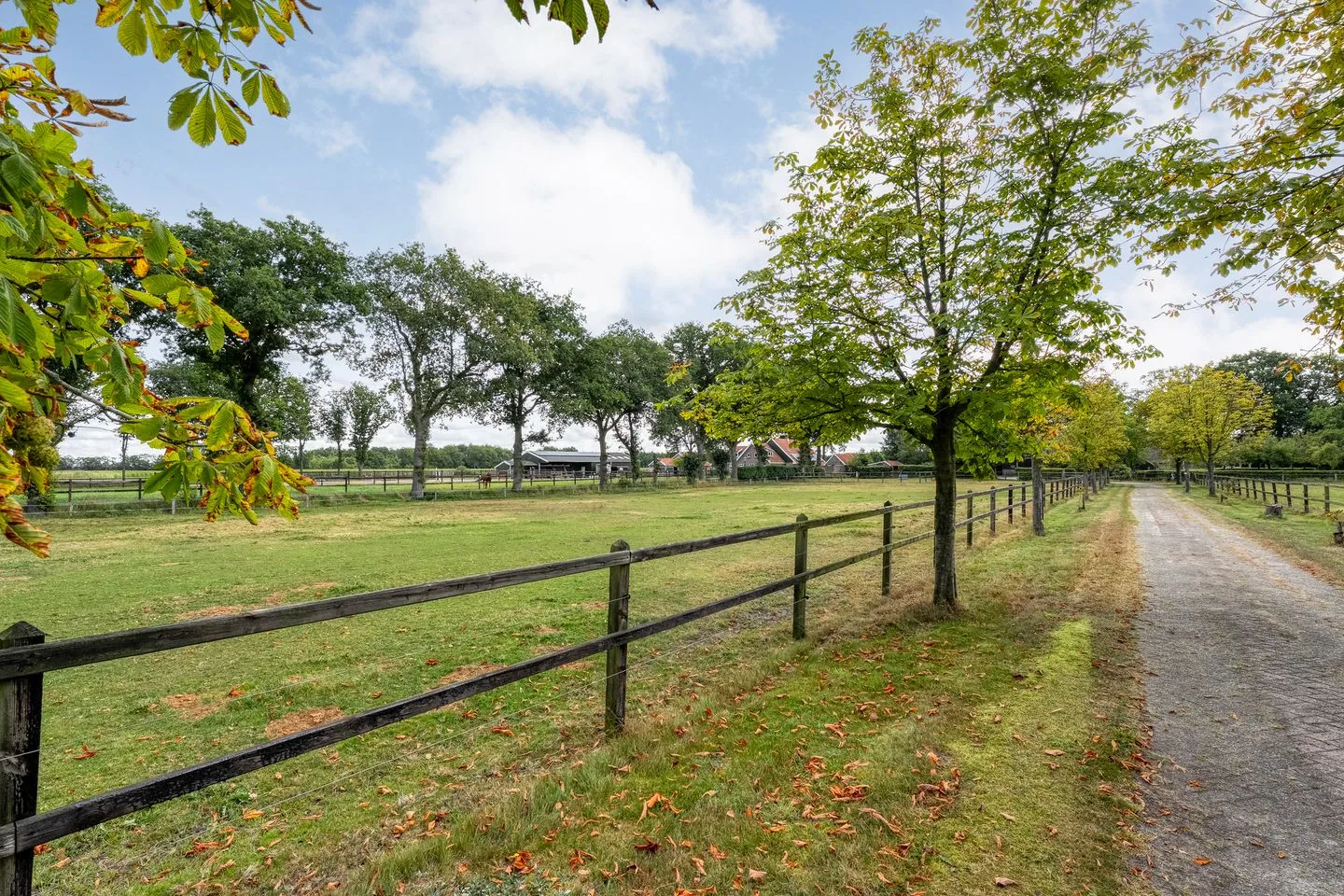 Nolderweg 4 Linde thumbnail 81