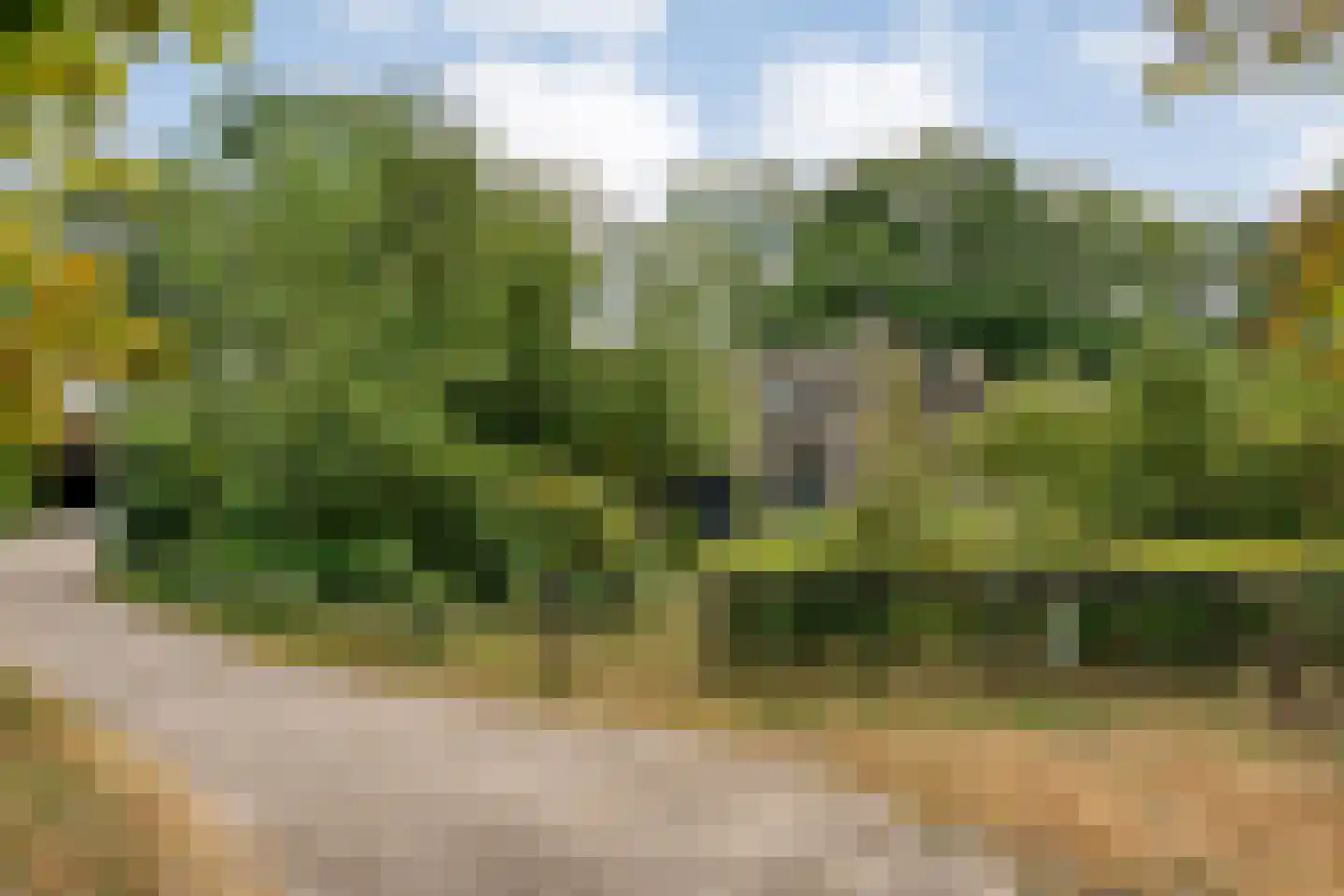 Nolderweg 4 Linde thumbnail 83